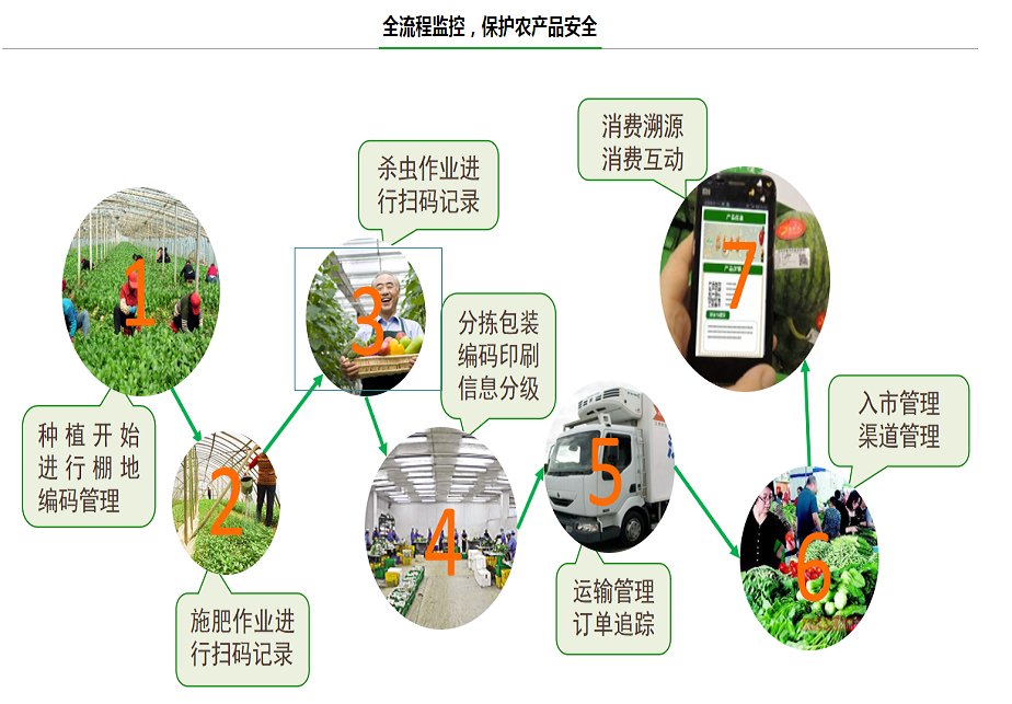 eadee706-ff50-4497-a36c-9df972727824.png